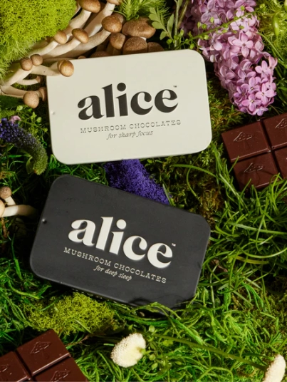 https://herbkemi.com/product/Purchase Alice Chocolate bars/