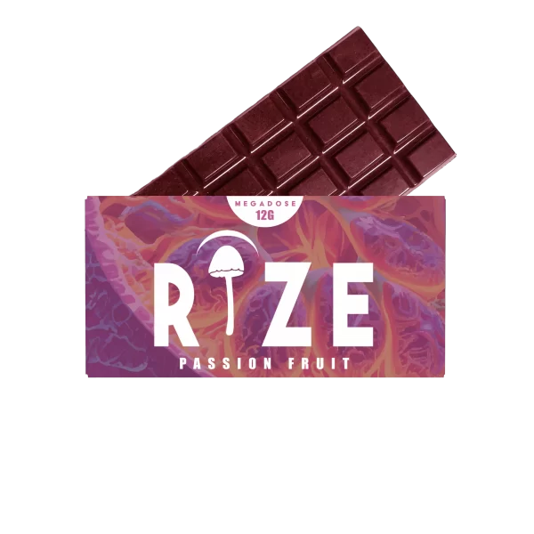 RIZE Mushroom Chocolates for sale