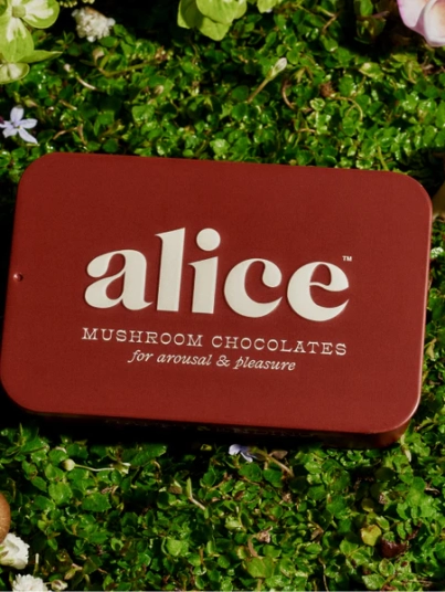 https://herbkemi.com/product/shop Alice mushroom chocolates/